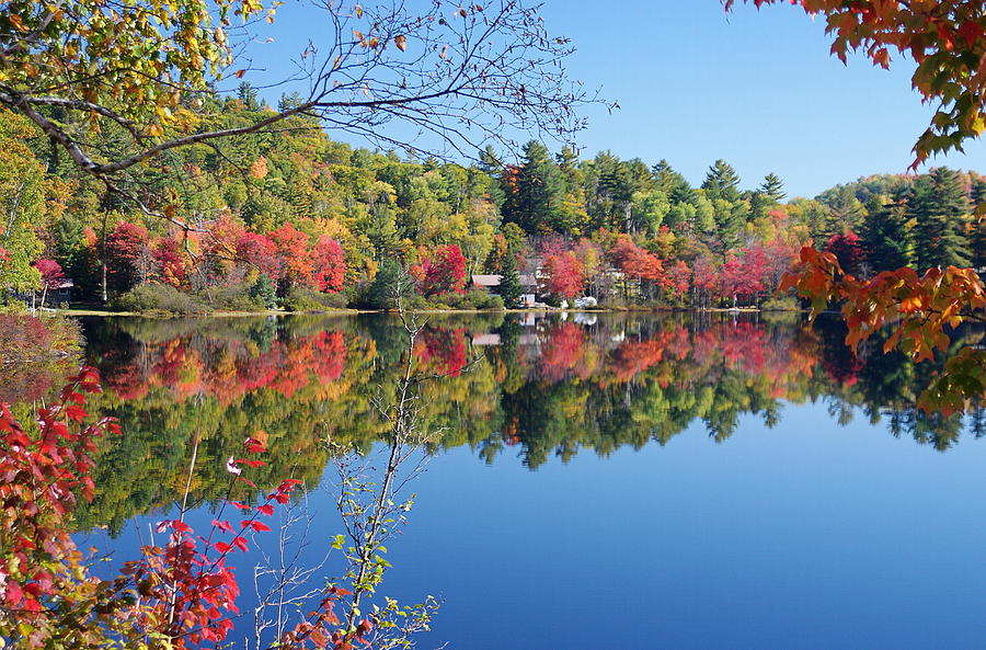Fall Digital Art - Paint Lake  Muskoka Canada by Pat Speirs