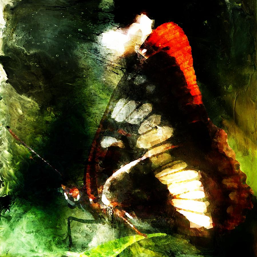 Painted Butterfly Digital Art by Andrea Barbieri