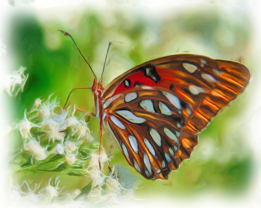 Painted Butterfly Painting by Steven Richardson