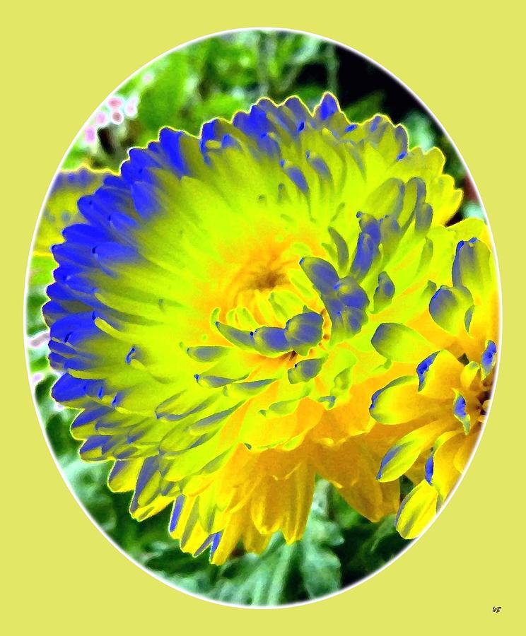 Painted Chrysanthemums Digital Art by Will Borden