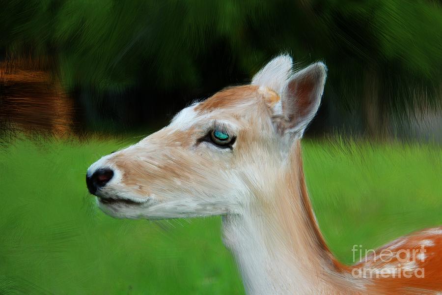 Painted Deer Digital Art by Mariola Bitner