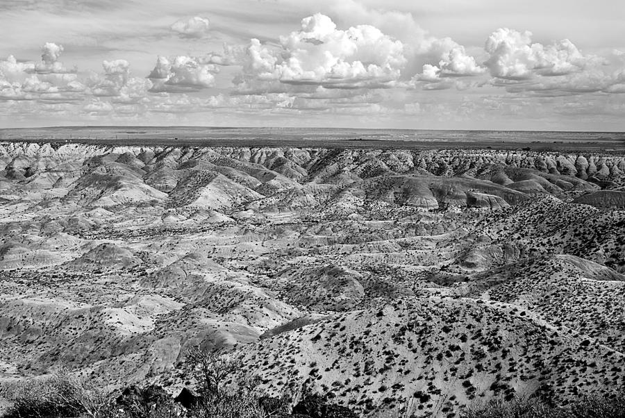 Painted Desert in B and W Photograph by Melany Sarafis