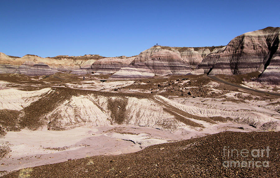 Petrified Forest National Park Photograph - Painted Desert Landscape by Adam Jewell