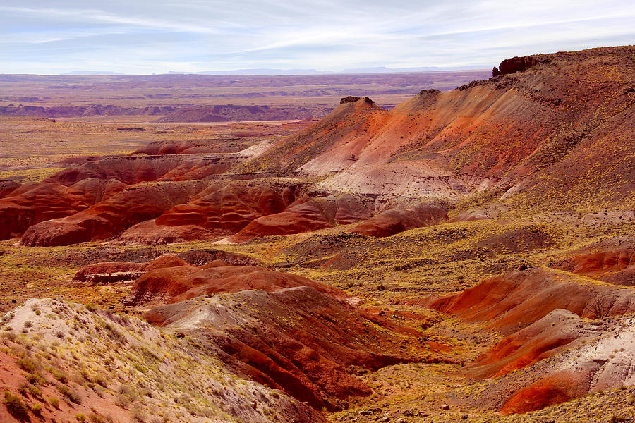 Painted Desert Photograph by Mike McGlothlen