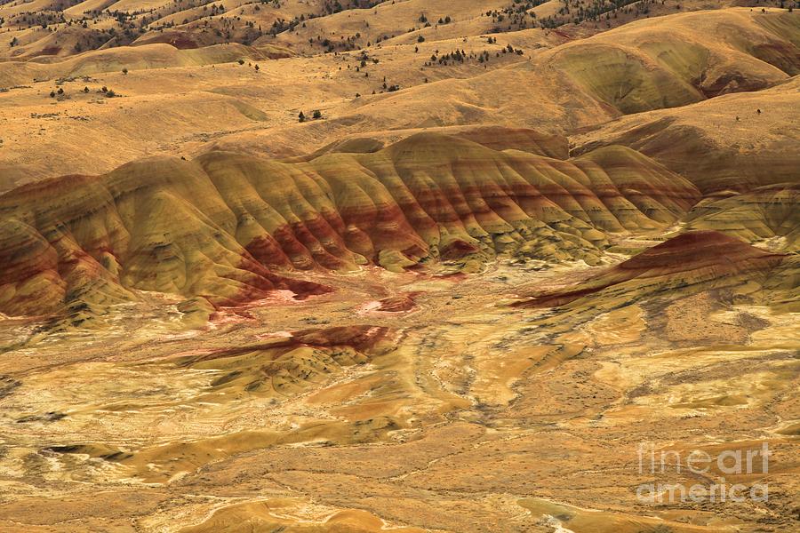 Painted Hills Photograph by Adam Jewell
