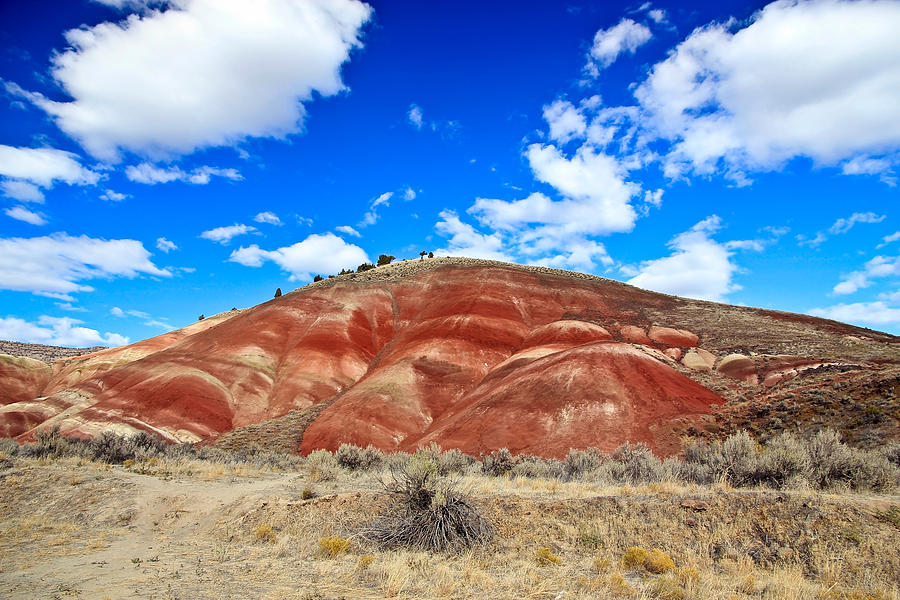 Painted Hills in Eastern Oregon Photograph by Athena Mckinzie