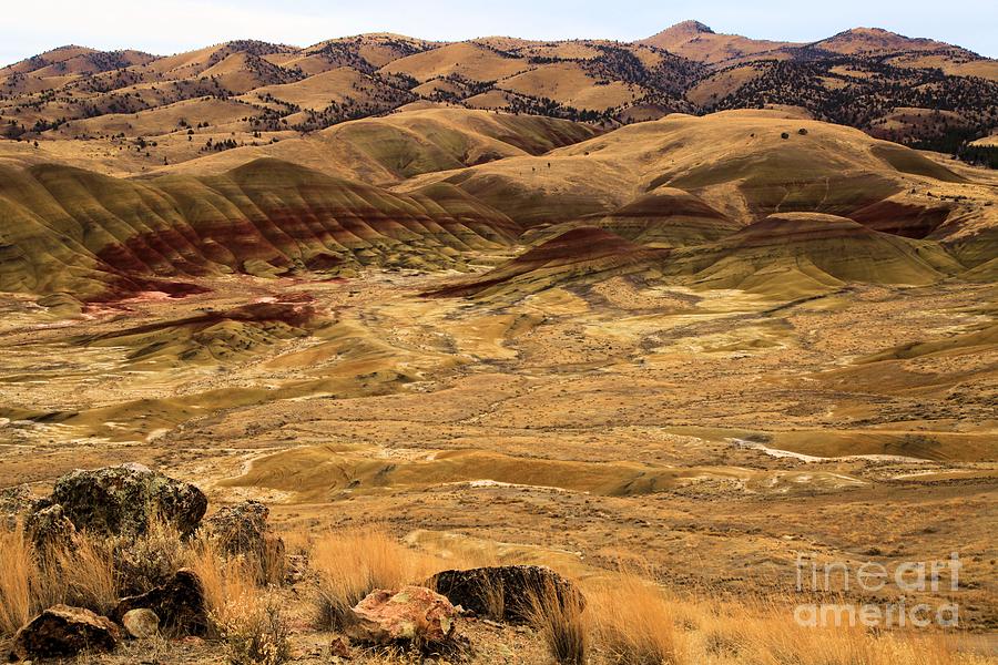 National Parks Photograph - Painted Hills Landscape by Adam Jewell