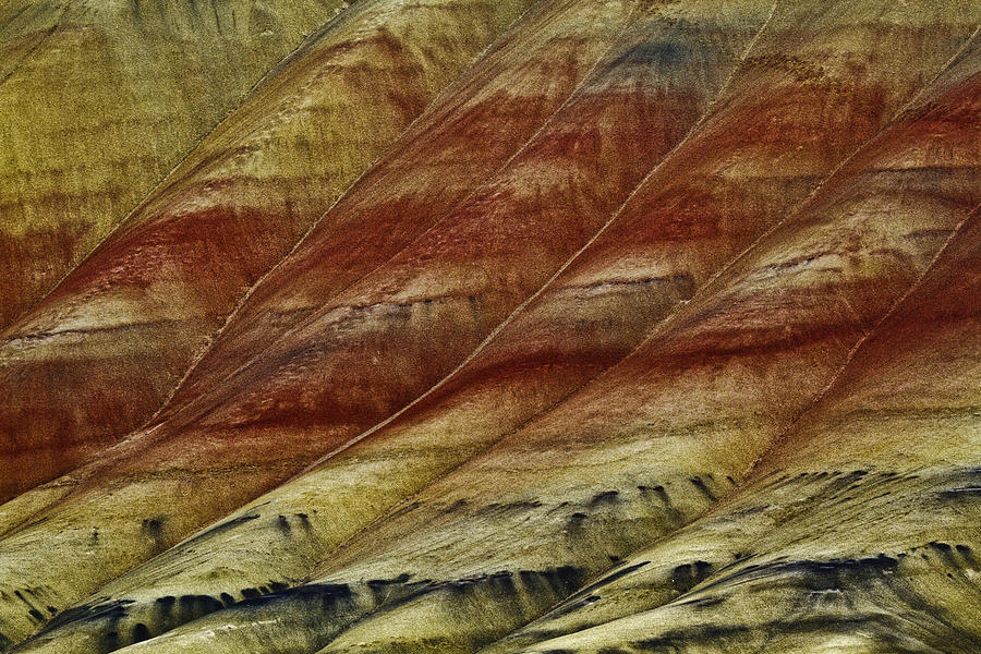 Nature Photograph - Painted Hills Lines by Wes and Dotty Weber