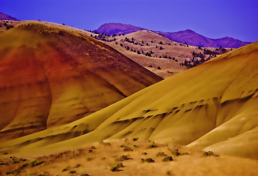 Painted Hills of Oregon Photograph by Dale Stillman