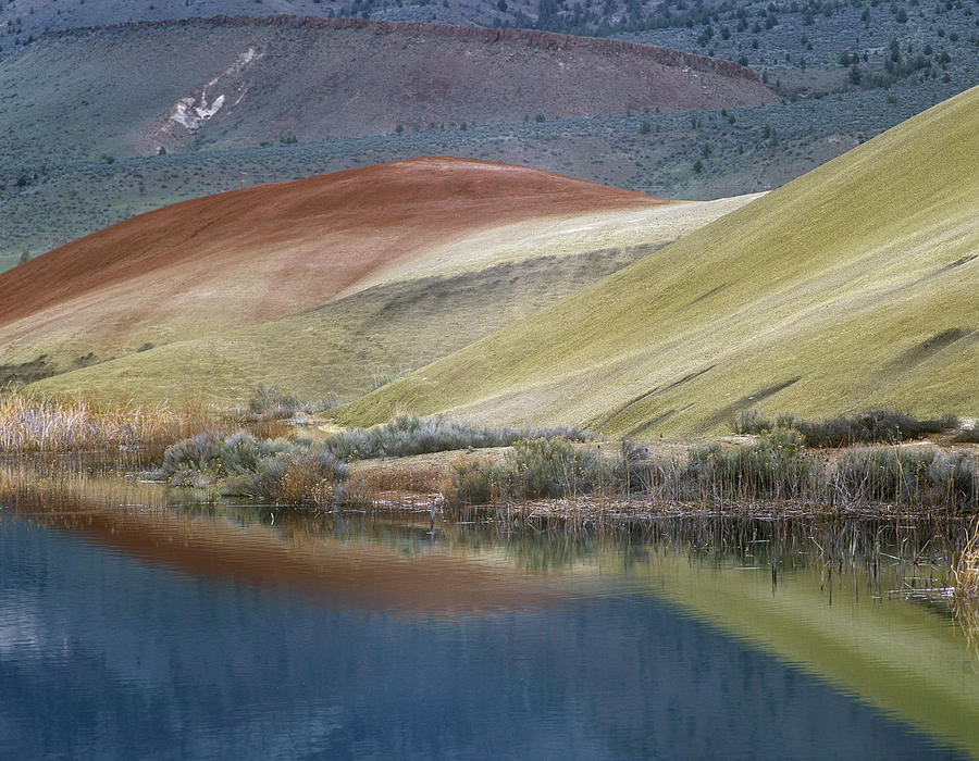 Painted Hills Reflected In Water John Photograph by Tim Fitzharris