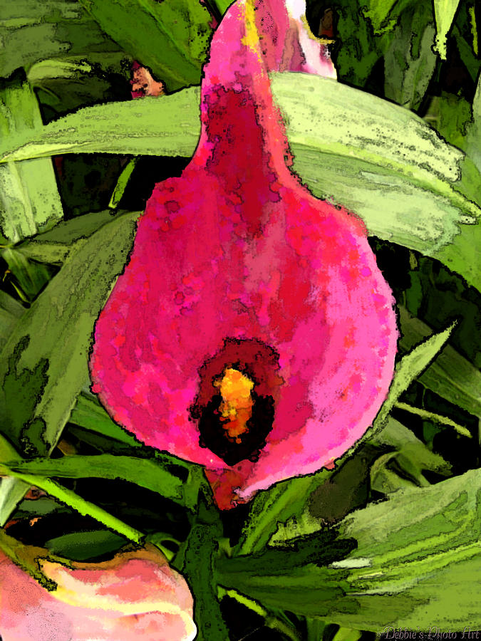 Painted Pink Cala Lily Photograph by Debbie Portwood