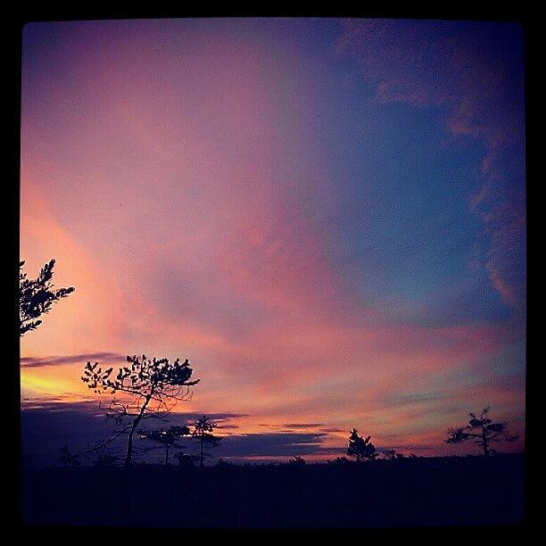 Pink Photograph - Painted #sky by Luise Sommer
