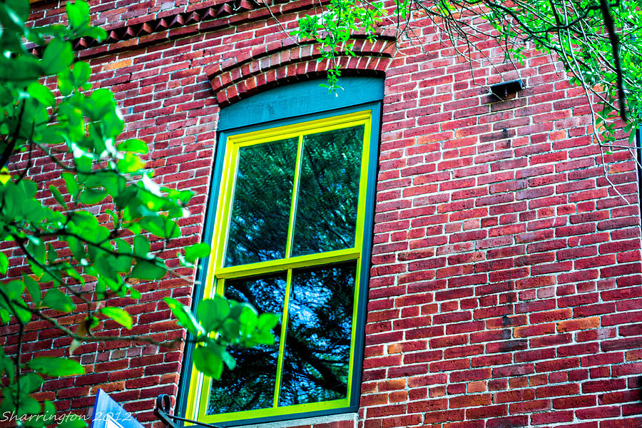 Painted Window Photograph by Shannon Harrington