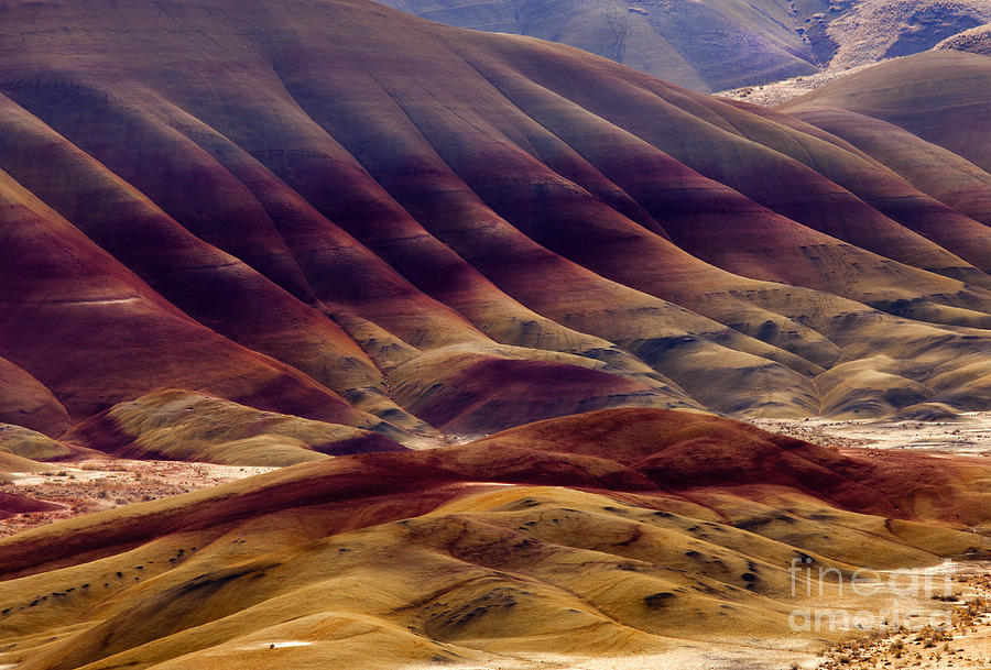 Desert Photograph - Painted with Red by Michael Dawson