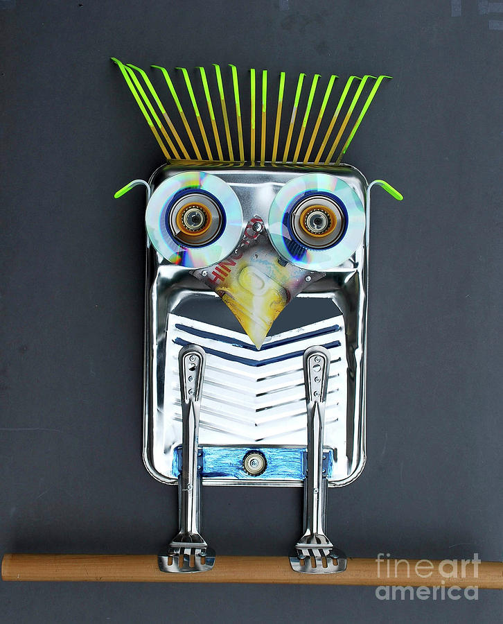 Painter Owl Mixed Media by Bill Thomson