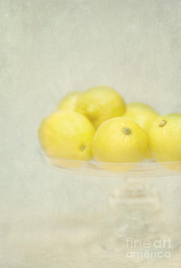 Painterly Lemons Stilllife Photograph by Susan Gary