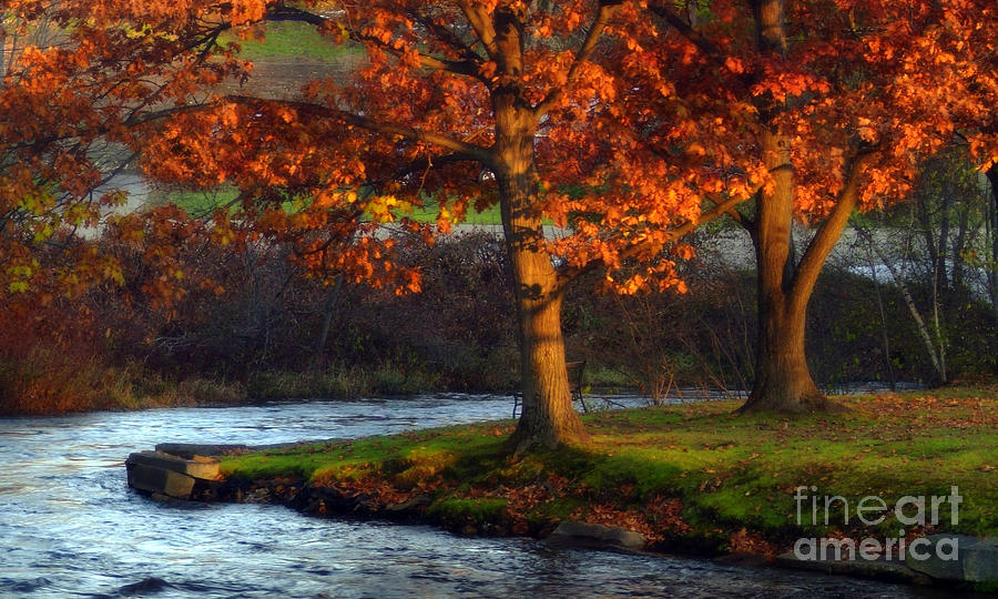 Painting Autumn Photograph by Joann Vitali - Fine Art America