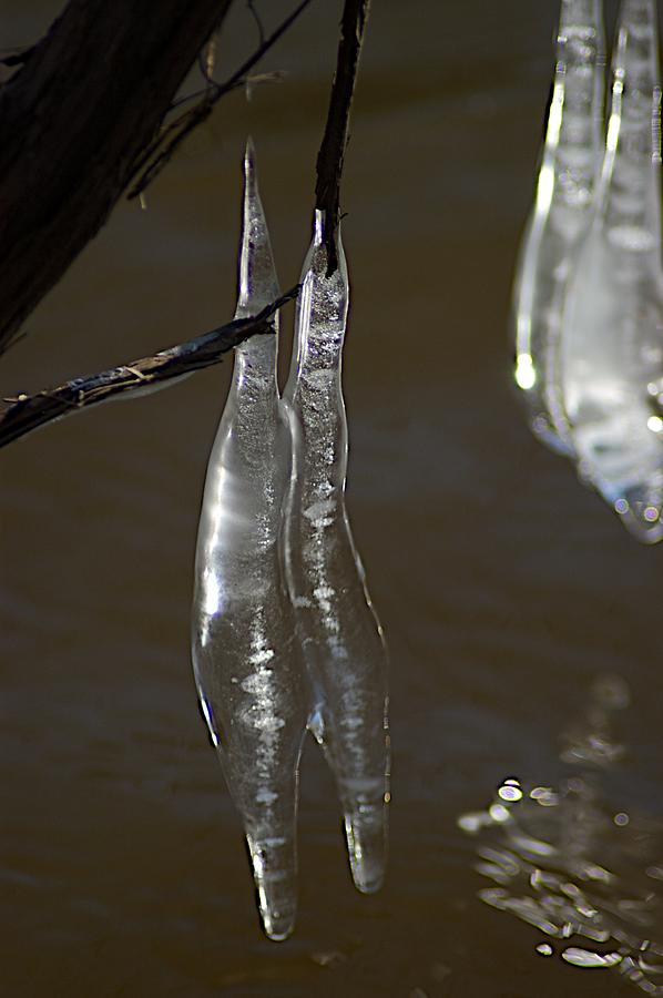Ice Photograph - Pair by Joseph Yarbrough