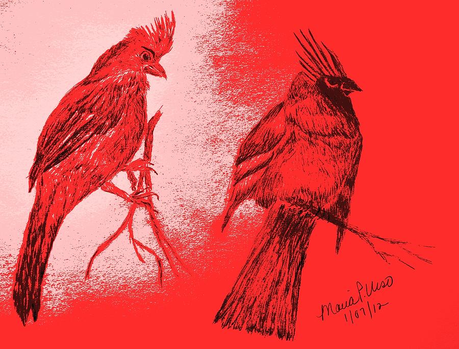 Pair of Cardinals Drawing by Maria Urso