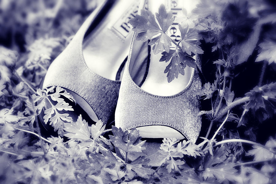 Pair of High Heals In The Garden Photograph by Tracie Schiebel