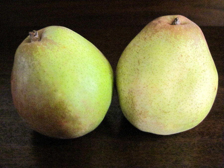 Pair of pears Photograph by Life Makes Art