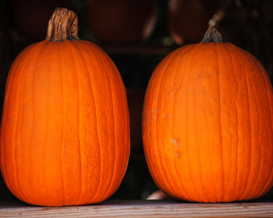 Pair of Pumpkins Photograph by Jai Johnson