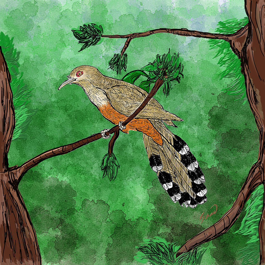 Nature Painting - Pajaro bobo Mayor Puerto Rican Lizard Cuckoo by Yiries Saad