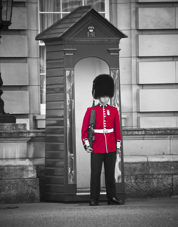 Palace Guard Photograph by Mickey Clausen