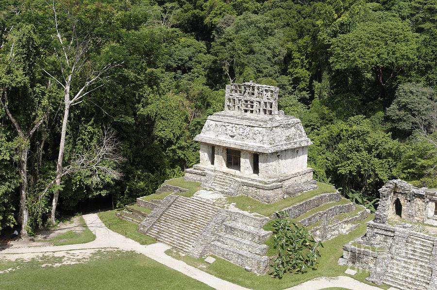 Palenque 2 Photograph by Salvador Penaloza - Fine Art America