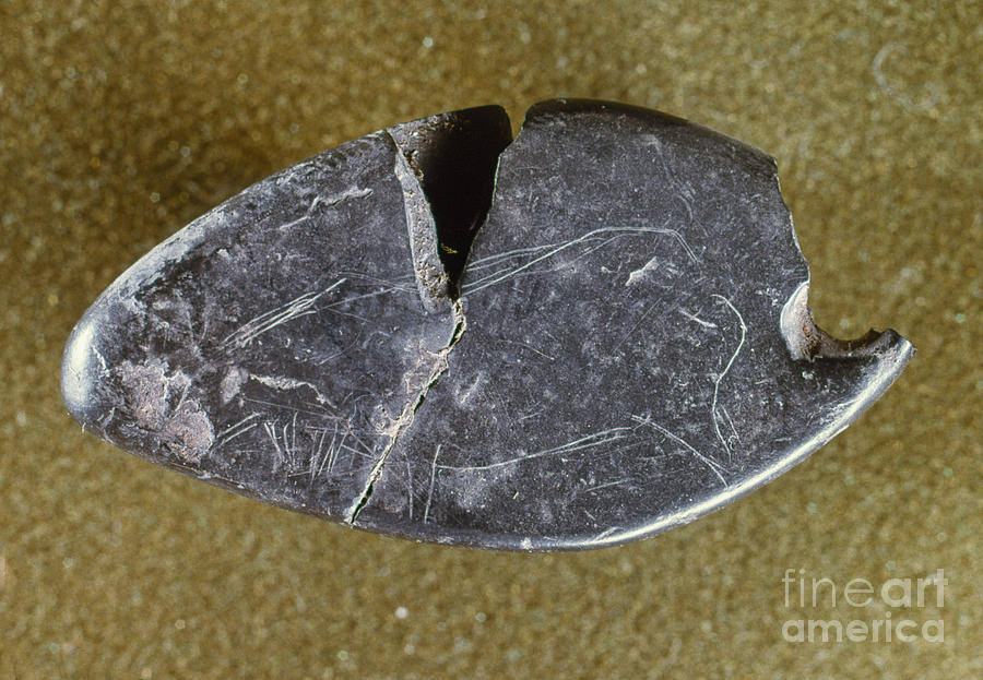Paleolithic Pendant Photograph by Granger