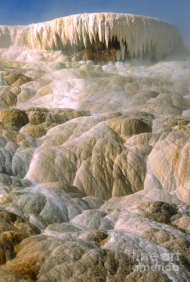 Palette Spring in Mammoth Hot Springs Photograph by Sandra Bronstein