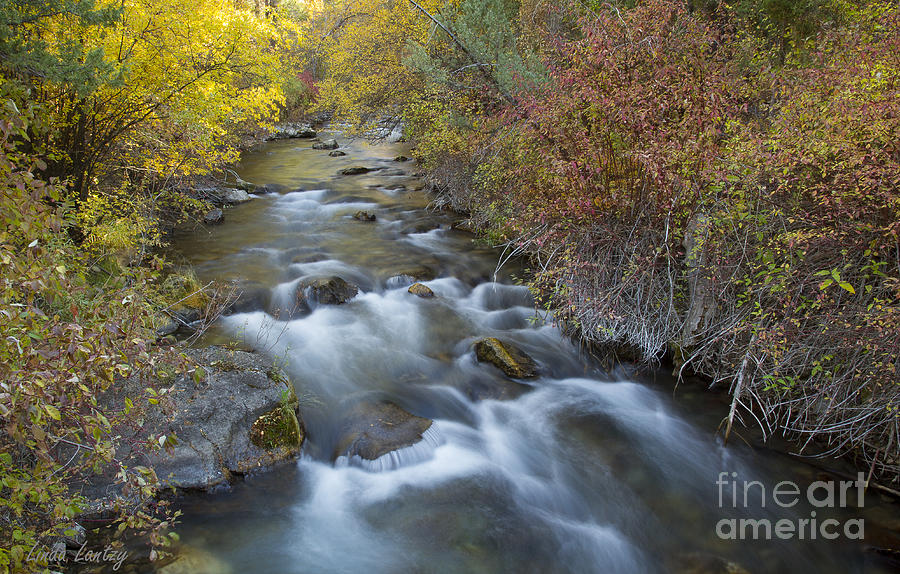 Fall Photograph - Palisades Autumn by Idaho Scenic Images Linda Lantzy