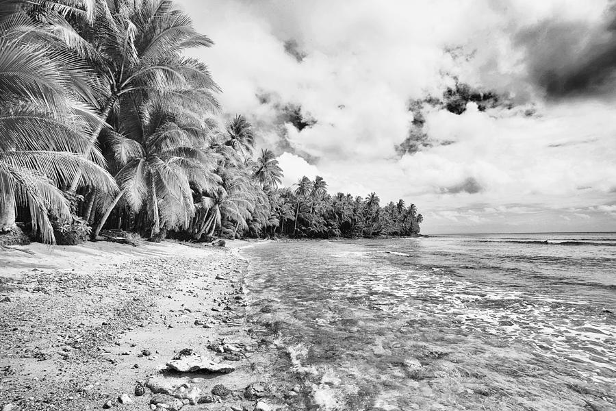 Black And White Palm Trees On Beach Philippines Photograph