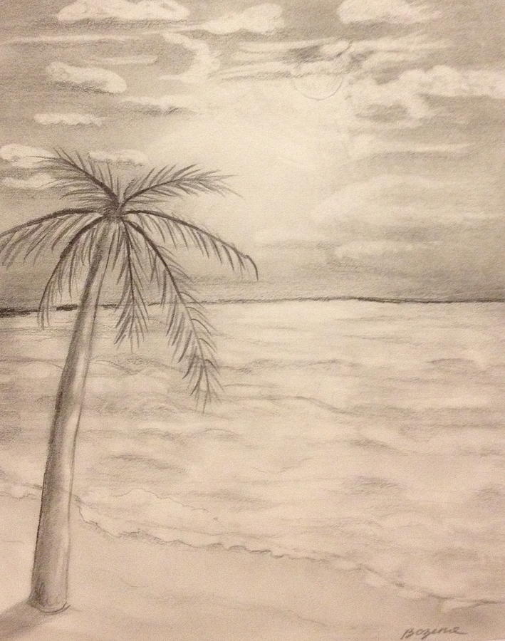 Palm Breeze Drawing by Bozena Zajaczkowska