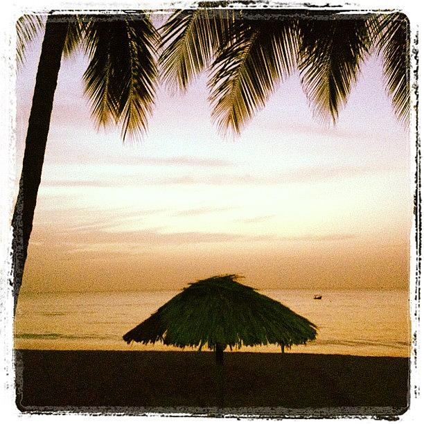 Paradise Photograph - Palm fringed beach by Dan Layton