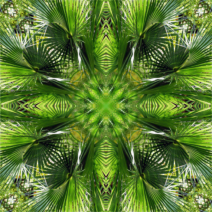 Palm Frond Kaleidoscope 2 Digital Art by Frances Miller
