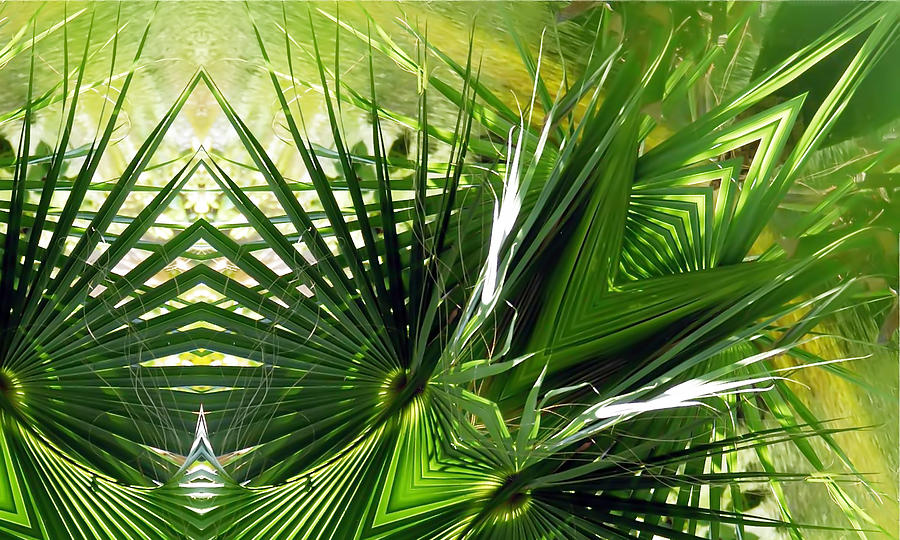 Palm Frond Kaleidoscopic Digital Art by Frances Miller