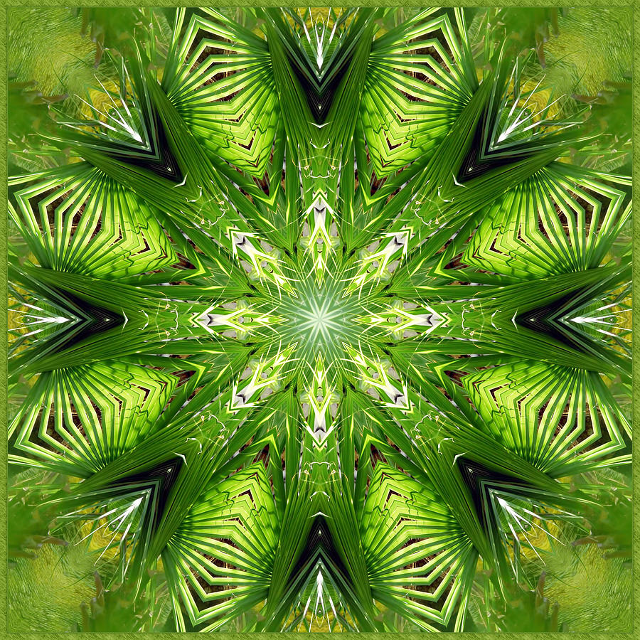 Palm Kaleidoscope 11 Digital Art by Frances Miller