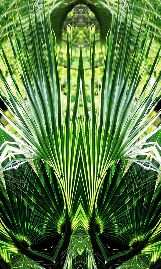 Palm Kaleidoscope 12a Digital Art by Frances Miller