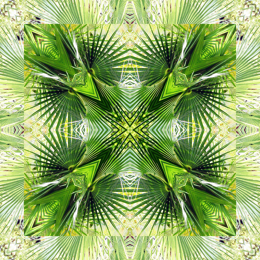 Palm Kaleidoscope 6 Digital Art by Frances Miller