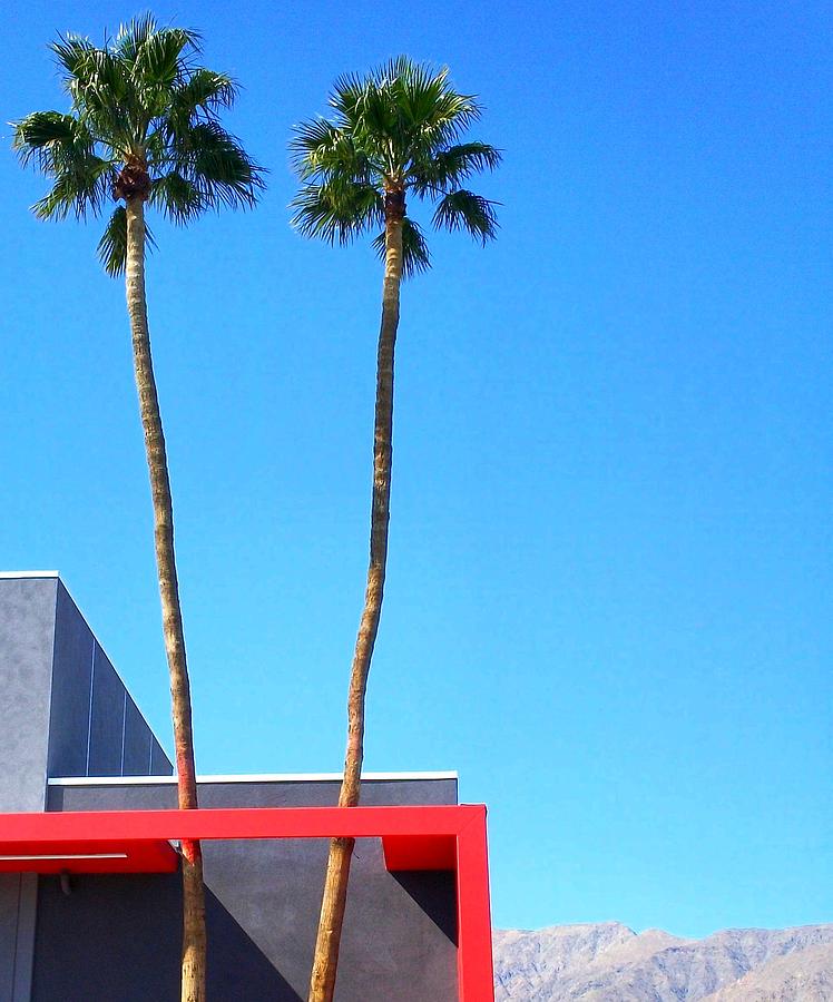 Palm Springs Photograph - Palm Springs 7eleven 4 by Randall Weidner