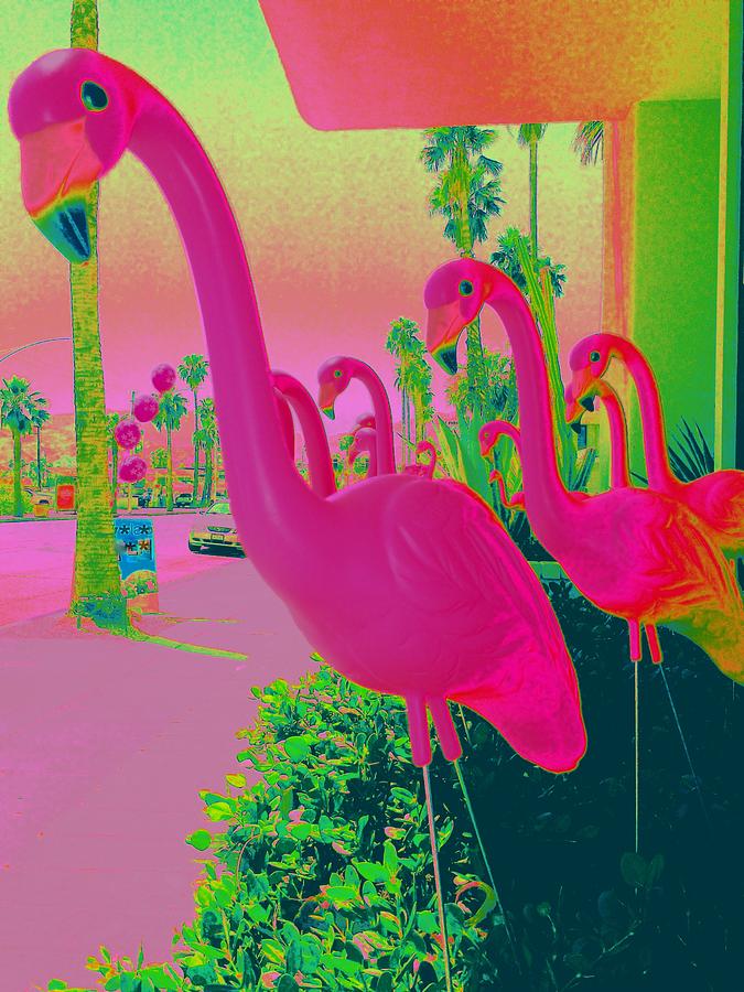 Flamingo Photograph - Palm Springs Flamingos 1 by Randall Weidner