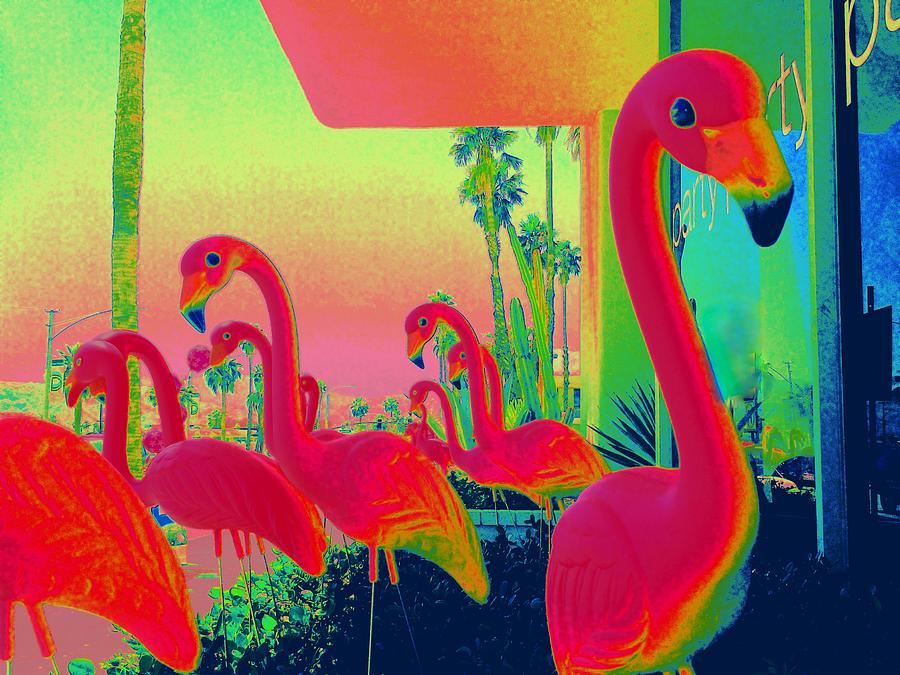 Flamingo Photograph - Palm Springs Flamingos 3 by Randall Weidner