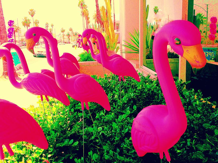 Flamingo Photograph - Palm Springs Flamingos 4 by Randall Weidner