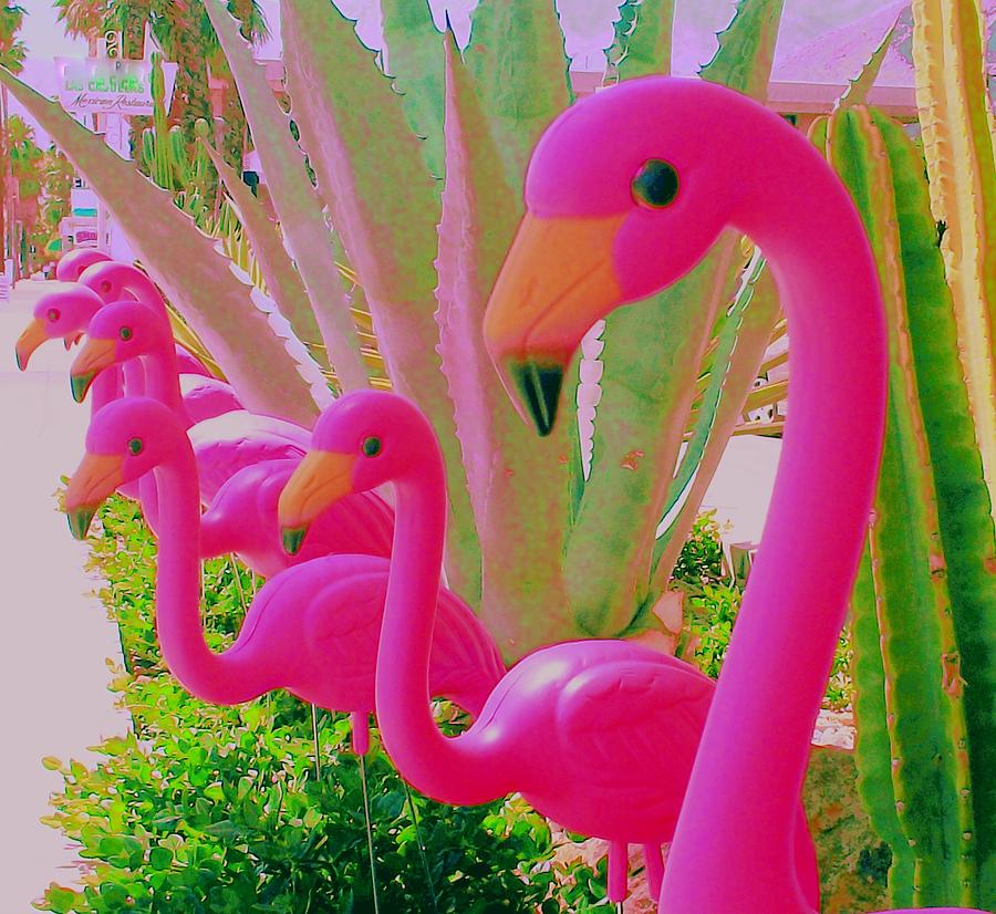 Flamingo Photograph - Palm Springs Flamingos 5 by Randall Weidner