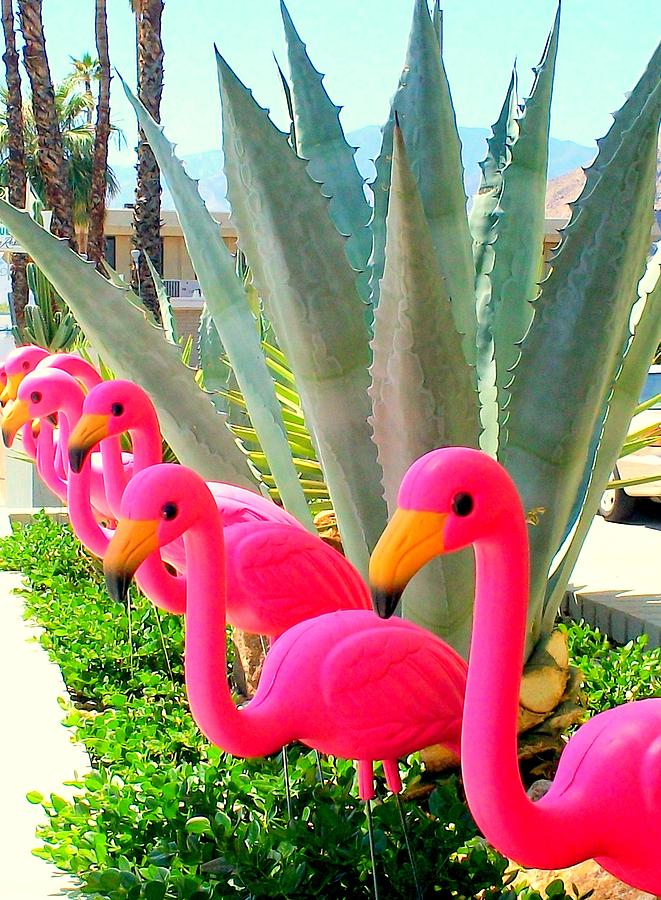 Flamingo Photograph - Palm Springs Flamingos 6 by Randall Weidner