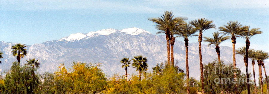 Palm Springs View Photograph by Barbara Plattenburg