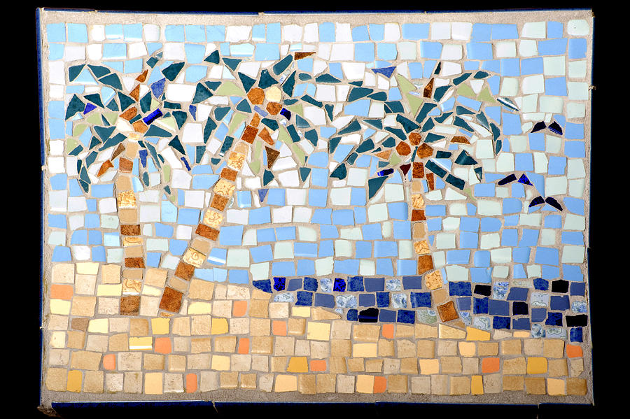 Palm Tree Mosaic Photograph by Lou Ann Bagnall