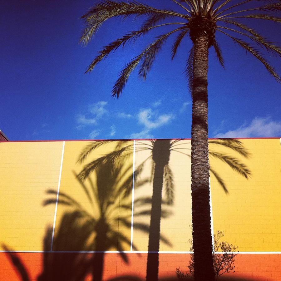 Los Angeles Photograph - Palm Tree Shadows by Ann Marie Donahue