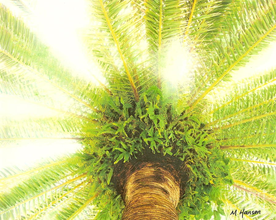 Palm with Ferns Photograph by Mona Younavjak Hansen Fine Art America